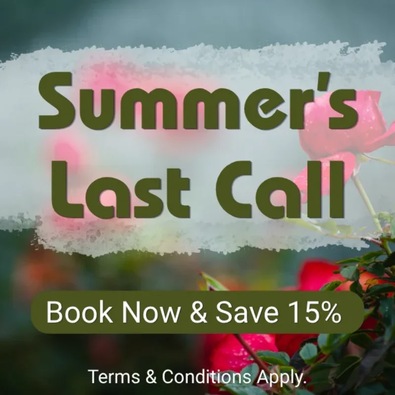 Summer’s Last Call